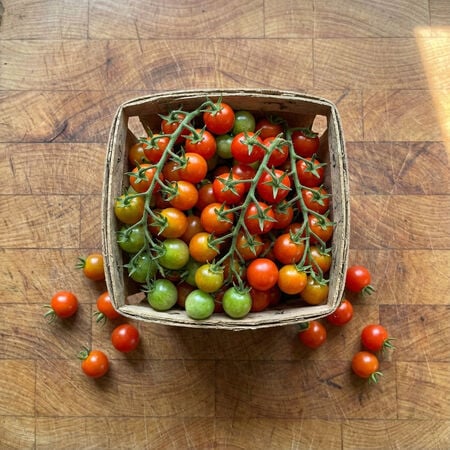 Tidy Treats, (F1) Tomato Seeds - Packet image number null